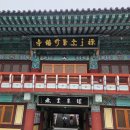 오상회 2025년 봄 나들이 / 예산 수덕사와 예당호 산책 (서울상대 총동창회보 향상의 탑 6 월1일 자 송고 기 사) 이미지