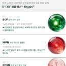(주)브이티피엘