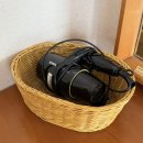 힐리 | 웰리힐리리조트 본관 스위트B형 숙박 후기 및 웰리힐리 셔틀버스 정보