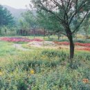 해여림식물원 이미지