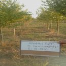 갈마농장 이미지