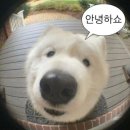 주민알림(농협 옆) | 얼레벌레 지역농협 도전기🌾- 면접 합격