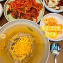 부산냉면 | 부산 중앙동 담미옥, 내돈내산 부산 평양냉면 맛집 후기 가게 이전 및 리뉴얼 정보