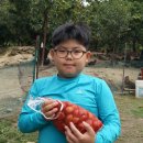 선인태권도장 이미지