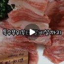 해미연풍우가