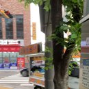 국수나무(신정 센트럴하임점) 이미지