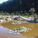 가야농장 이미지