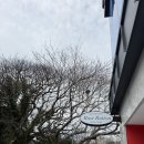 천지연로 | 제주 원데이클래스 추천, 서귀포 뮤즈버튼에서 아이와 미술체험한 후기