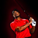 황제(898) 이미지