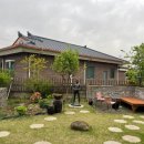 사비그리고달