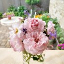 장미화분 모양 석고방향제 이미지