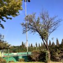 조치원체육공원 테니스장 이미지