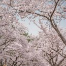 경북문화관광공사 이미지