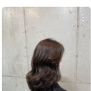 핫킨스 네이버블로그
