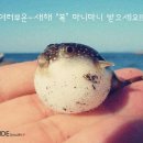 새해 복 많이 받으세요 이미지