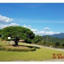 푸른하늘공인중개사사무소 이미지