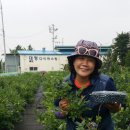 다은농장 이미지