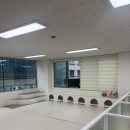 해들유치원 | 동대문구 애견유치원 찾는다면? 우리 시월이가 하루 종일 편안하게 쉬다 온 장안동 ‘걱정말개’ 후기