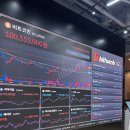 썸즈업 | [빗썸서포터즈]👍🏻썸즈업 3기 합격 후기_서류부터 면접 그리고 합격까지 ! 🧡