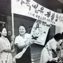 변호사이태영법률사무소