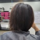 이오엘헤어 | 이오엘헤어/열펌/시세이도/아이롱펌/파마/단발펌/사모님파마/사모님펌/파마