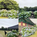 4공단로-39 이미지