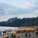 [여름 제주도 3박4일 - 2일차] 우동카덴 스누피가든 부영호텔 중문색달해수욕장 숙성도 루나폴