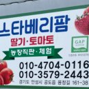 스타베리팜 이미지
