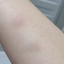 블루게임랜드 이미지