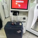 버진 | [호주 여행] 멜버른⮕시드니 호주 국내선 버진 오스트레일리아 후기 | 위탁수하물 포함