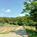 장암 장하리사지 이미지