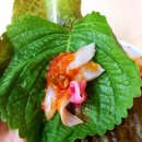 죽도회타운 이미지