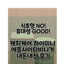 직장인 다이어트템? | 케치캐어 하이미니 애플사이다비니거 내돈내산 한달후기