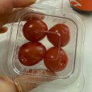 트로피티 아일랜드 김포한강점