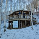 꿈꾸는 자작나무 이미지