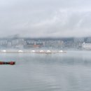 돌산횟집민박 이미지