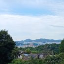 주식회사백사