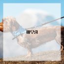 드로잉 표현 기법 이미지