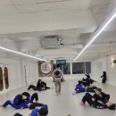 파라에스트라전하