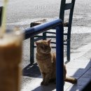 아지스테이션 네이버블로그