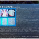 복천사 아미타극락회상도 이미지