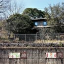 들꽃나라 이미지