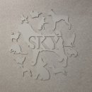 원주24시스카이동물메디컬센터 | 강원도 원주 단구동 연중무휴 365일 24시 동물 병원 스카이 동물 메디컬센터 내돈내산 솔직한 후기