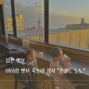 형제카서비스 | [일본 벳부] 두돌, 네돌 아기랑 벳부핫토 온야도 노노 객실, 가족탕, 조식 후기
