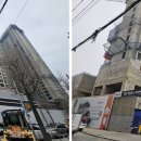 선화
