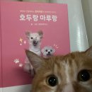 스토리나라 이미지