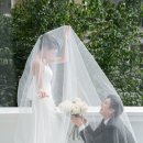 어바웃제인 이미지