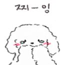 플라워퍼피 이미지