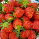 비량농원 이미지