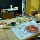 푸른솔호스텔 | [영국 교환일기] Ch. 19 포르토에서 와인 테이스팅과 노을 구경🌇/안단테 티켓 발권 방법